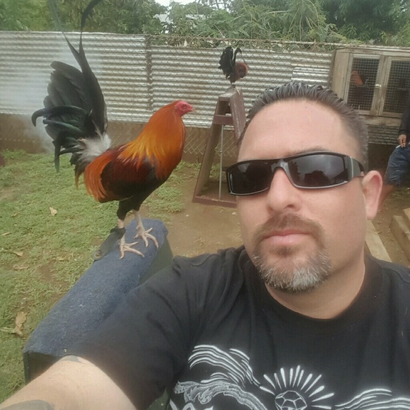 Meet your Posher, Clay - Picture 1 of 1